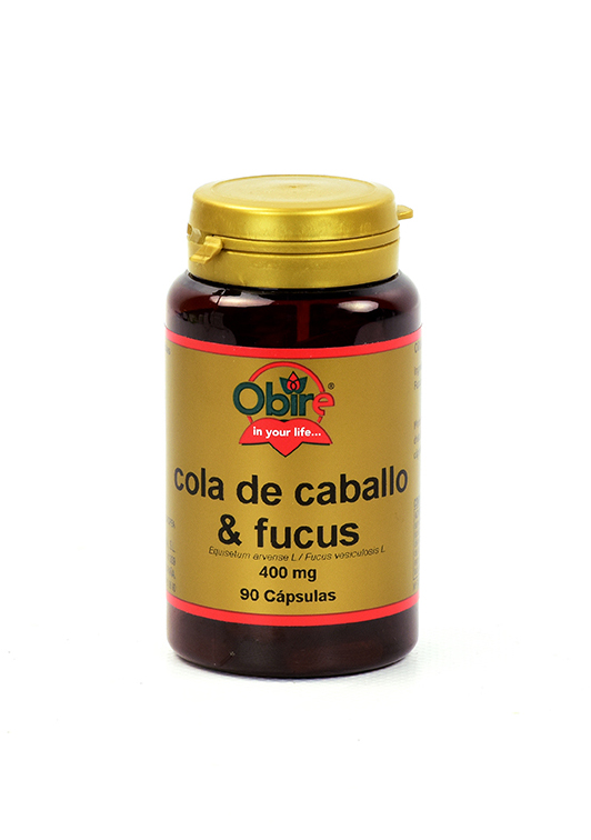 cola-de-caballo-fucus